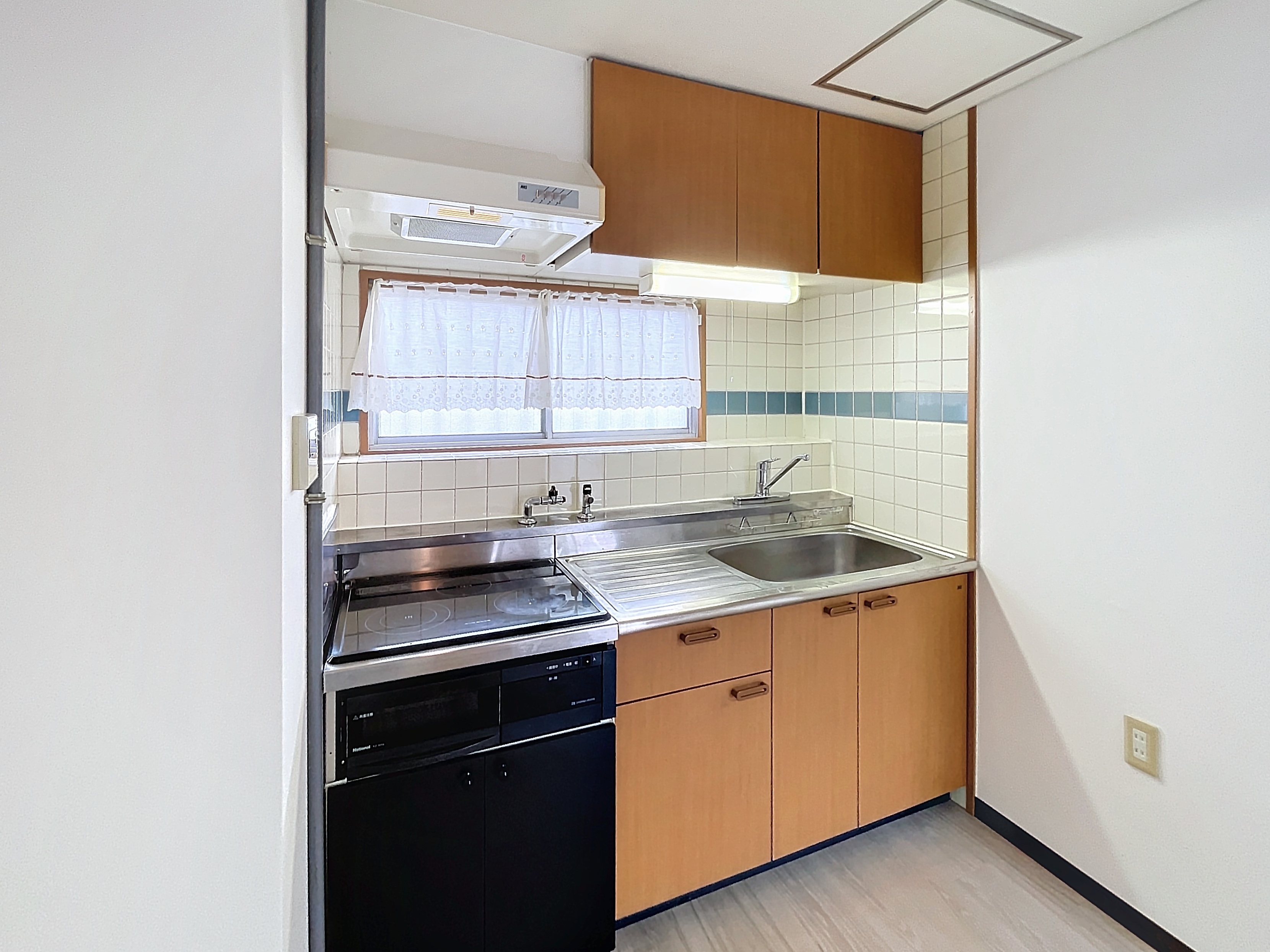 参考写真　(2024年11月撮影)