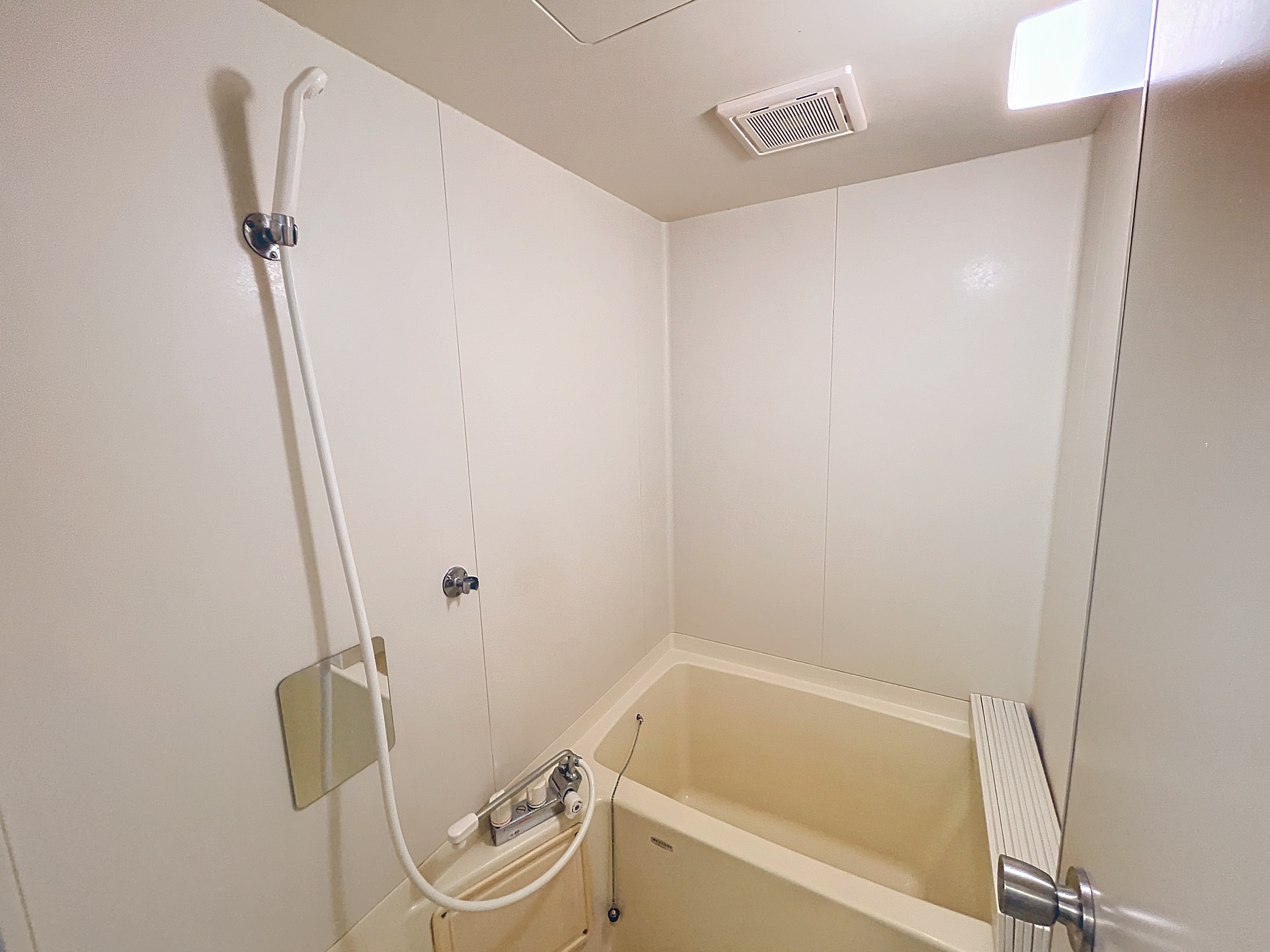 参考写真(2024年11月撮影)