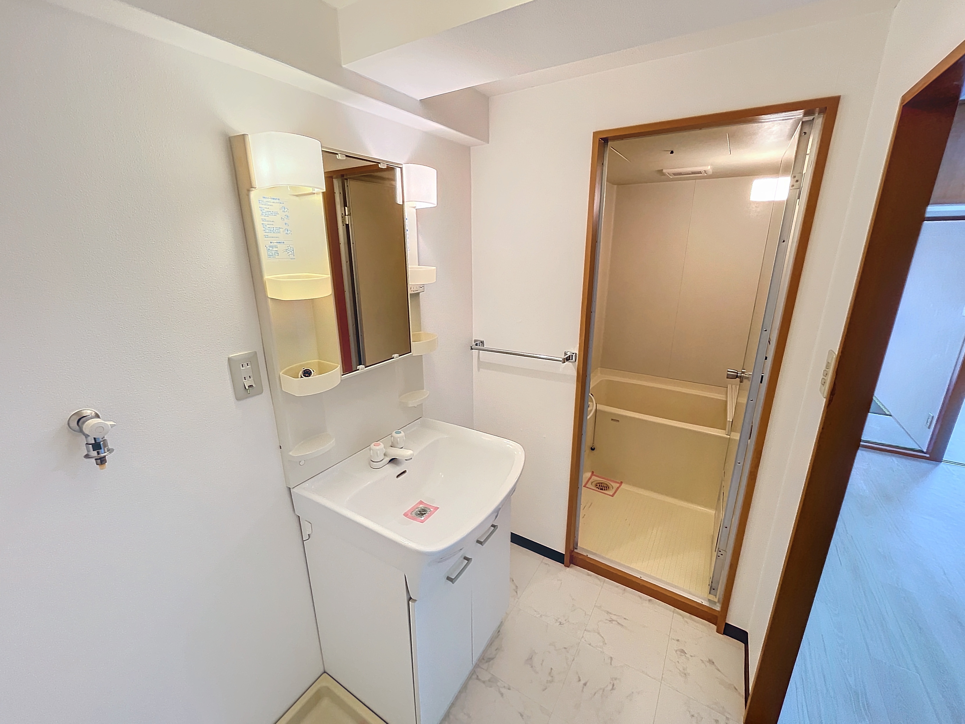 参考写真(2024年11月撮影)