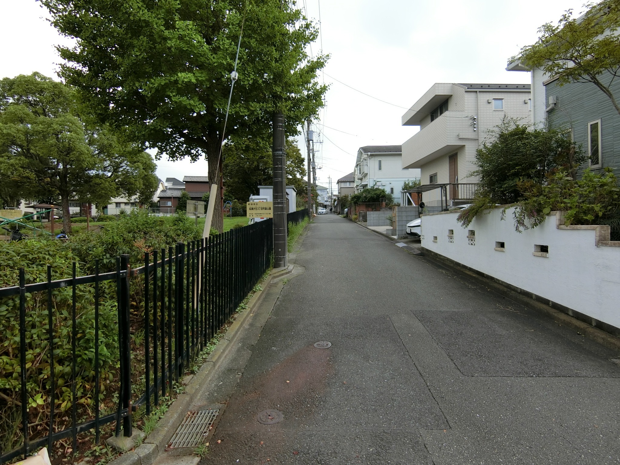 前面道路含む現地写真(2026年9月撮影)